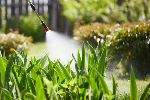 24/7 Emergency Termite Control experts in Deadwood, SD